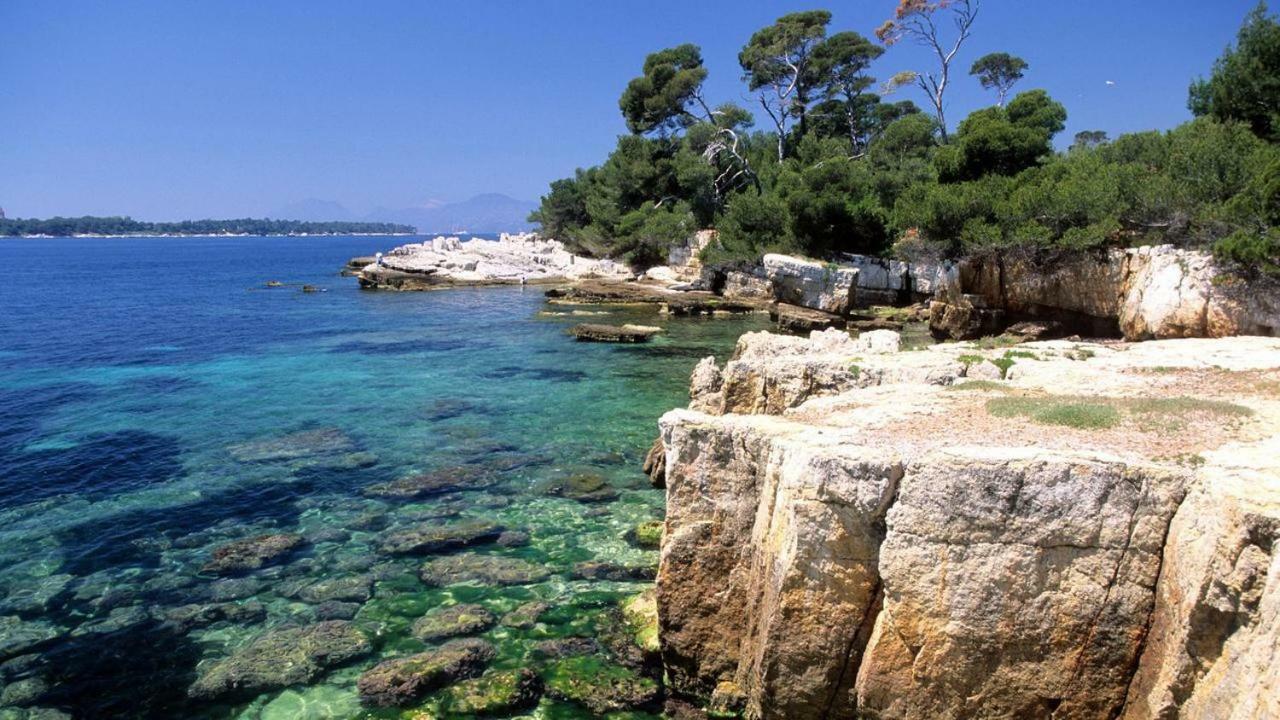 Gorgeous 2 Bedrooms Brand New 3 Avenue Paul Arene Antibes Kültér fotó